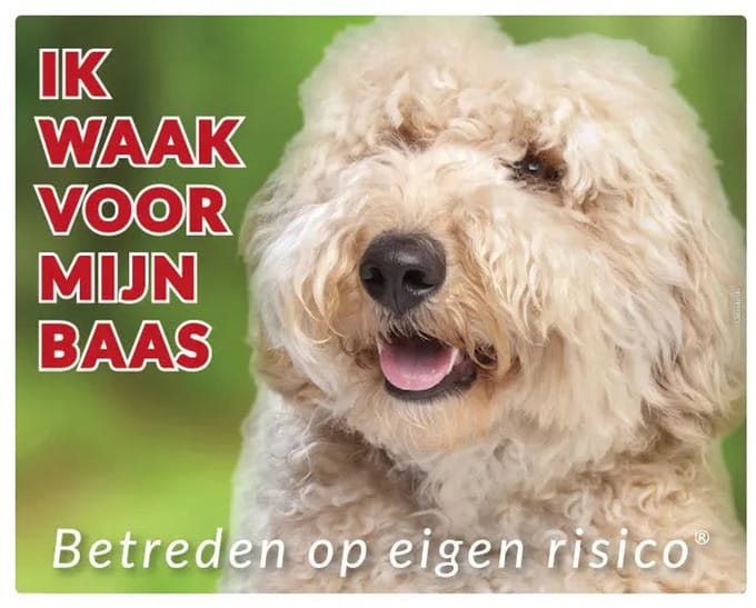 Labradoodle Blond Waakbord