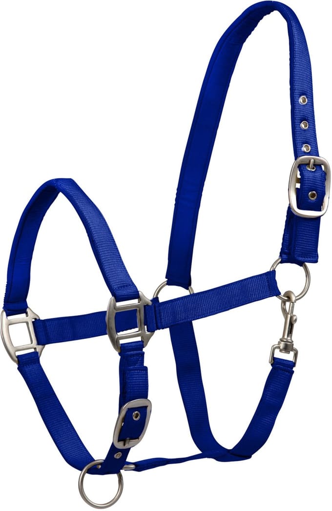 Waldhausen Perlon Satin - Paardenhalster - Donkerblauw Shet
