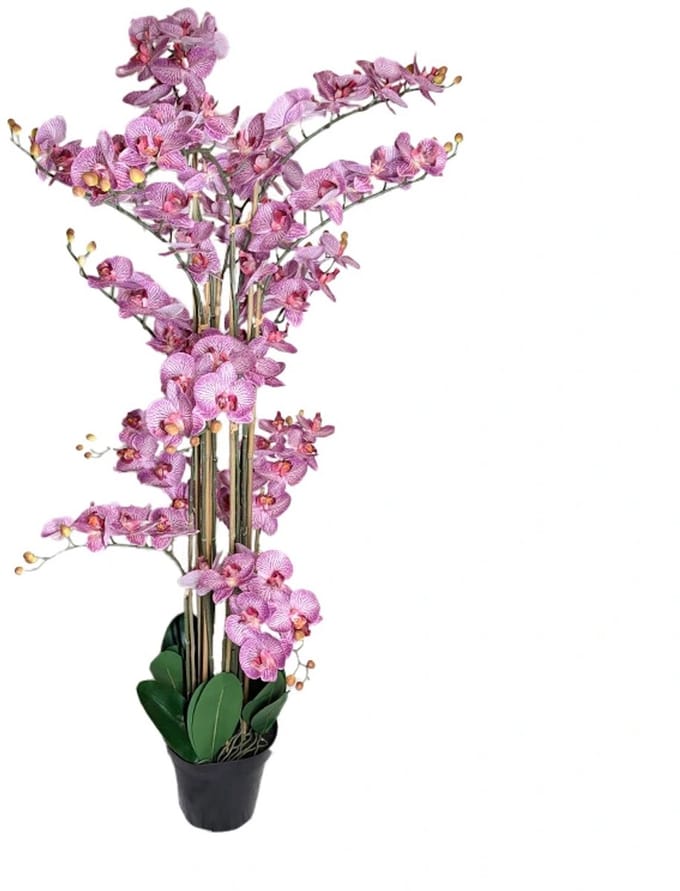 Kunst Phalaenopsis Orchidee In Pot 140 cm - Tiger Cerise