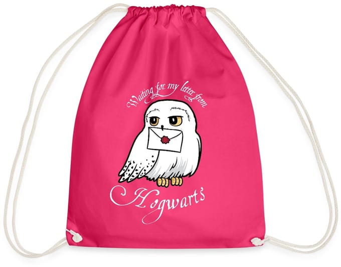 Harry Potter Hedwig Met Brief Waiting For My Letter Gymtas