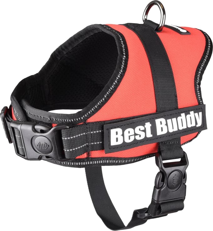Flamingo Pluto Liberty - Harnas Honden - Harnas Best Buddy Pluto Rood S 50-70cm 25mm - 1st - 122482 - 1st