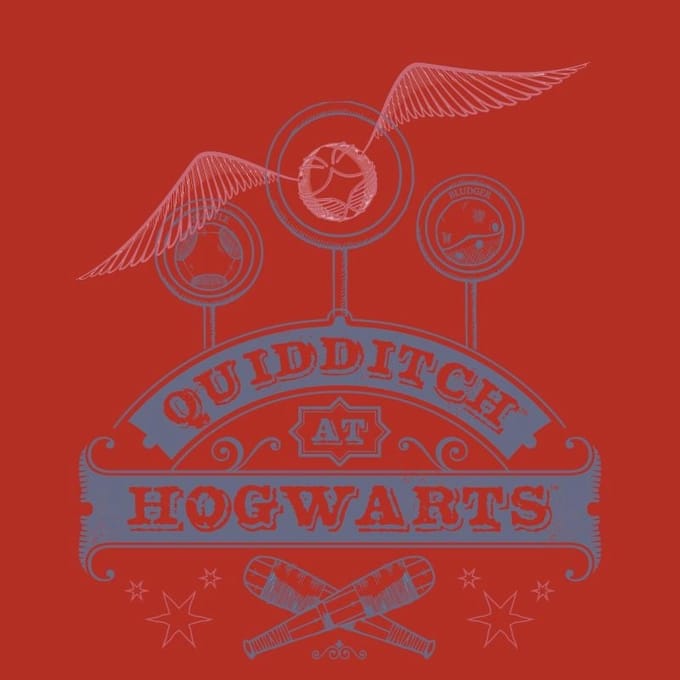 Harry Potter Quidditch At Hogwarts Men's T-Shirt - Red - S