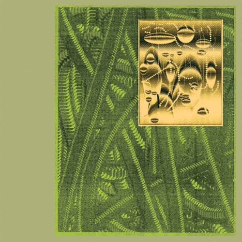 De Beren Gieren - Less Is Endless (CD)