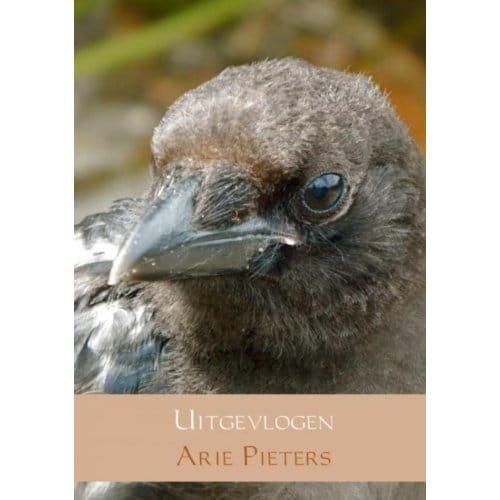Uitgevlogen - Arie Pieters