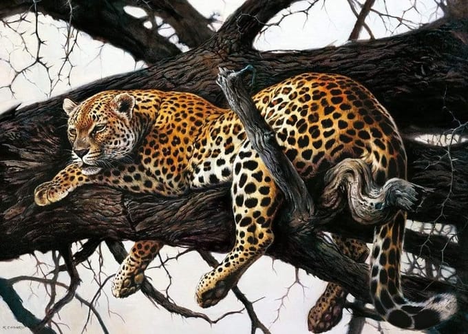 Kunstdruk Renato Casaro - Laziness 70x50cm