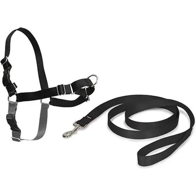 Easy Walk® - Hondentuig - Small/38-51 cm - Zwart
