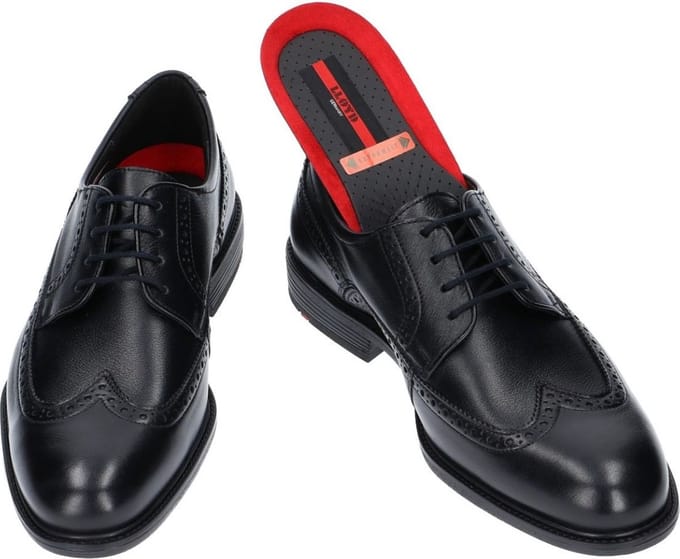 Nette Schoenen Lloyd -