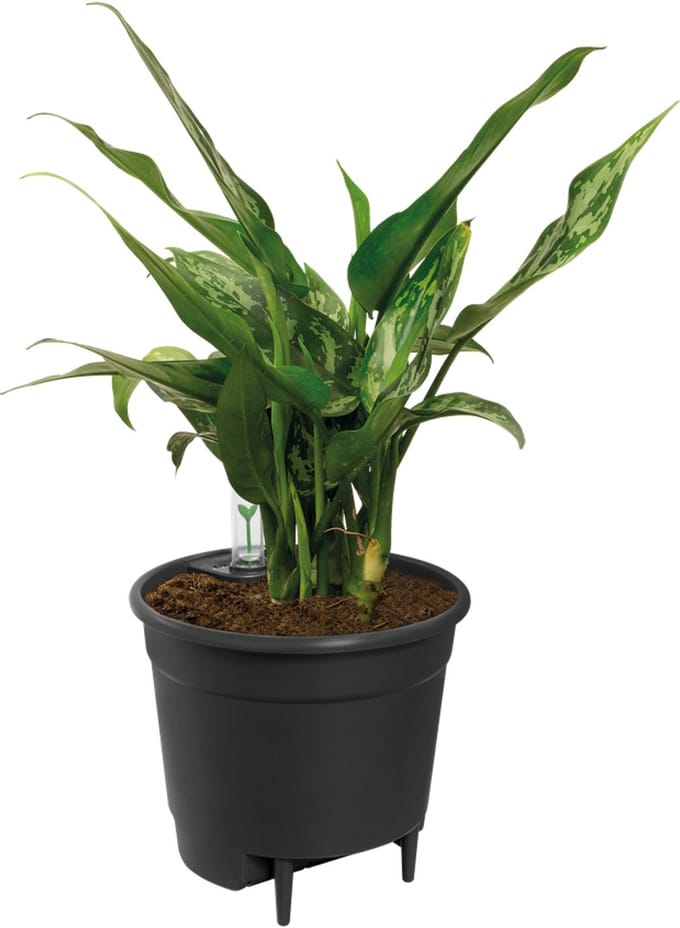 Elho Self-watering Insert 24 - Binnenpot met watermeter - Ø 23.7 x H 22.2 cm - Living black