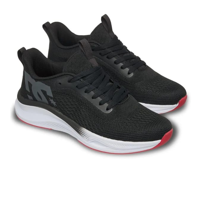 Baskets DC Shoes Roammax