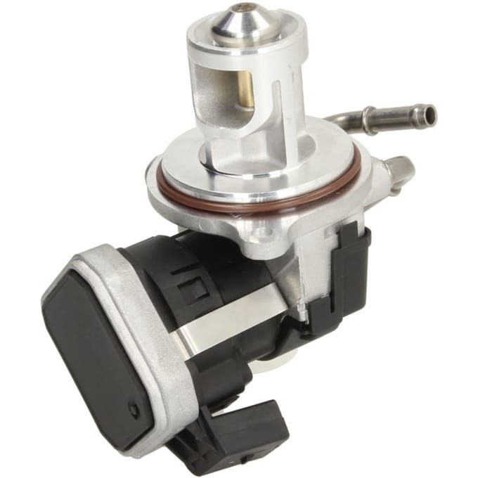 EGR-klep DELPHI EG10429-12B1