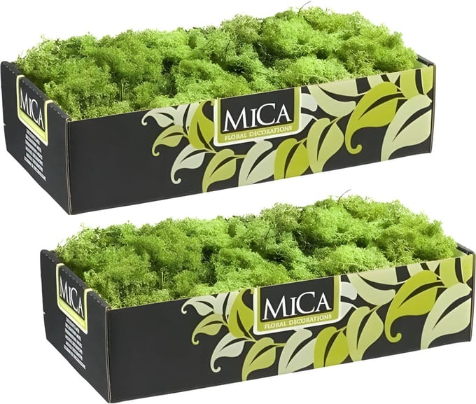 Mica Decorations Rendiermos - 1 kilo - groen - hobby mos - decoratie materialen