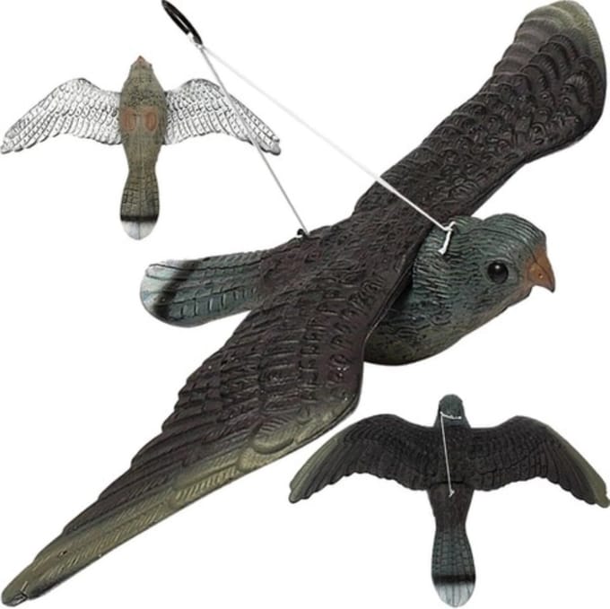 Repest Slechtvalk Vogelafschrikker - Realistische Bescherming Tegen Vogels