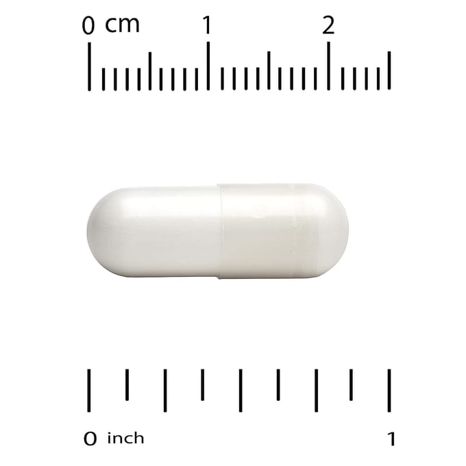 L-Theanine met Alphawave®, 100 mg, 60 vegetarische capsules
