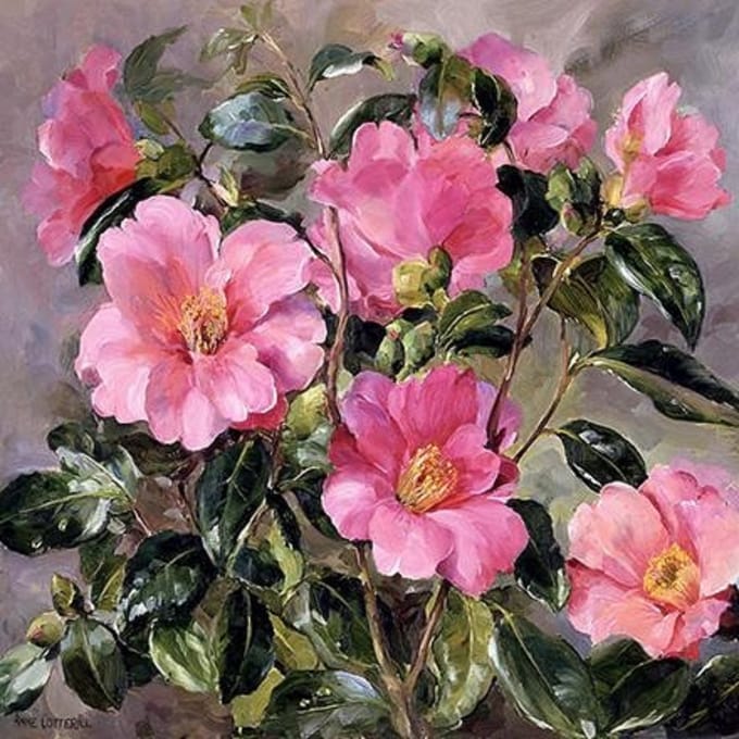 Dubbele kaart met env. Camelia 15x15cm