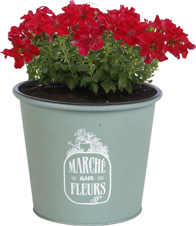 Sunnydays /plantenpot/bloempot - zink - jadegroen - D19 x H16 cm
