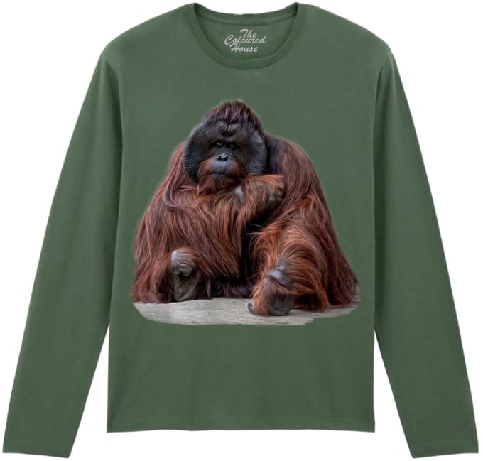 Orangoetan Wisdom Beyond Words - Orangutan The Coloured House Longsleeve T-shirt M