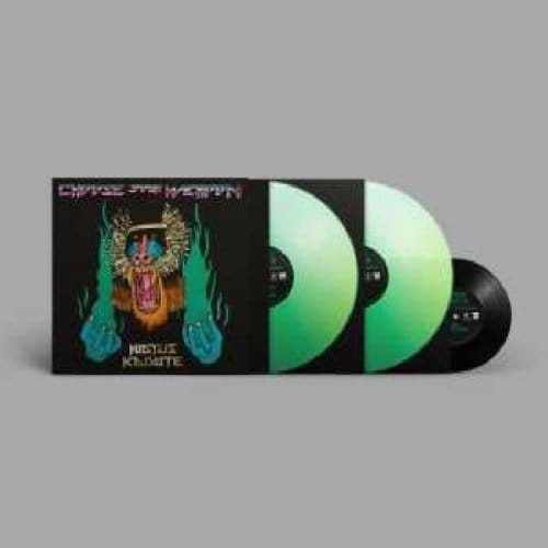Hiatus Kaiyote - Choose Your Weapon (2 LP)