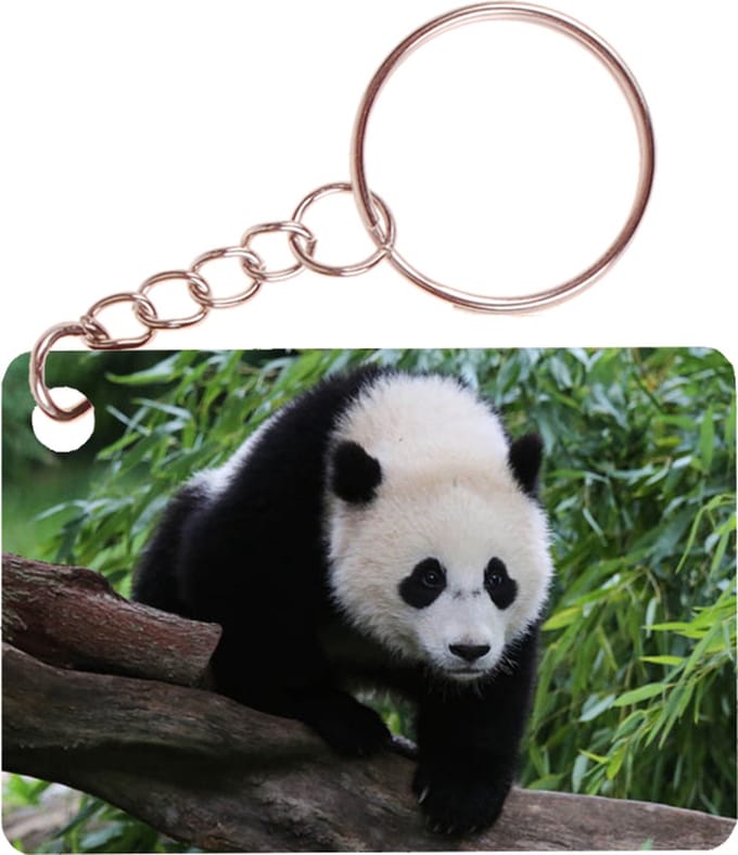 Sleutelhanger 6x4cm - Panda Beer op Boom
