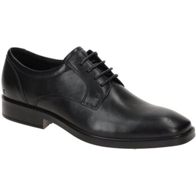 Nette Schoenen Ecco -