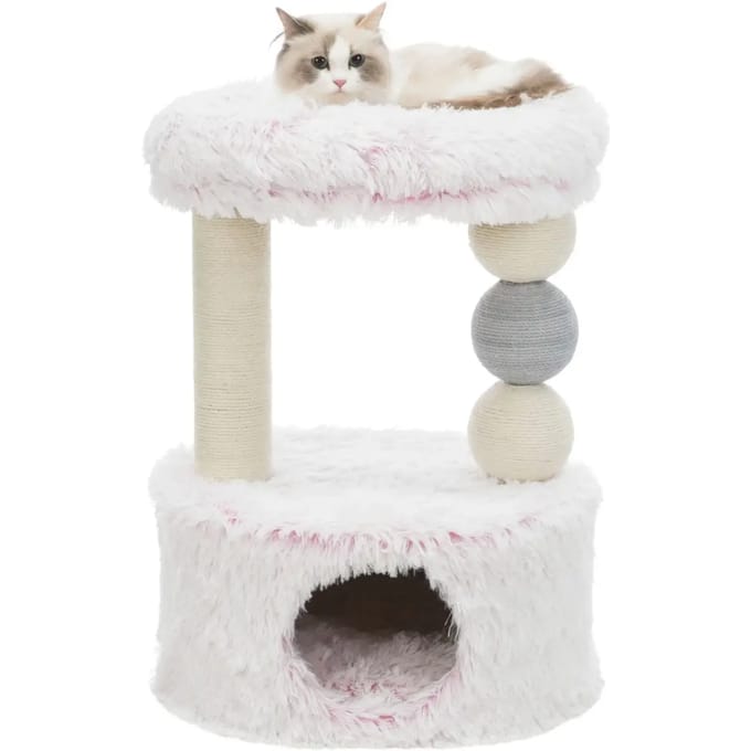 Kattenboom Trixie Harvey