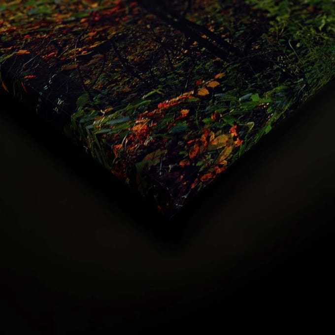 Canvas DD124936 Waldwegherbst A. S. Création