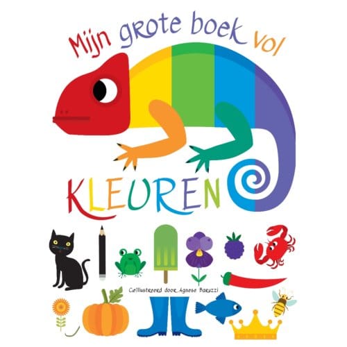 Mijn Grote Boek Vol Kleuren