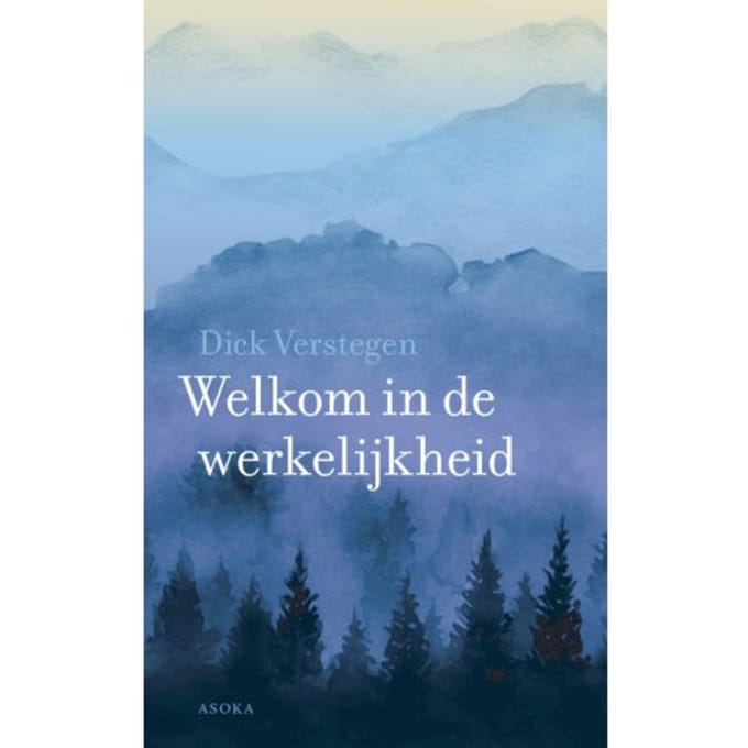Welkom In De Werkelijkheid - Dick Verstegen