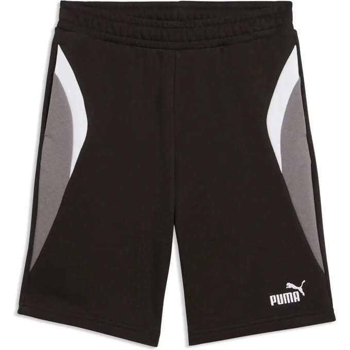 Puma  Korte Broek ESS BLOCK Shorts TR