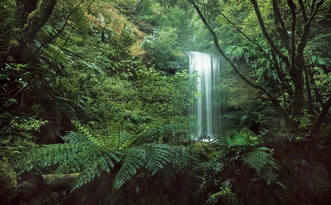 Fotobehang Secret Veil - Meerkleurig - 2,80m X 450cm