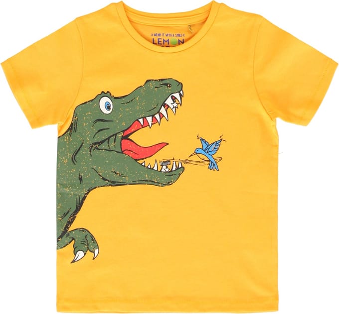 Lemon Beret t-shirt jongens - oranje - 149372 - maat 116