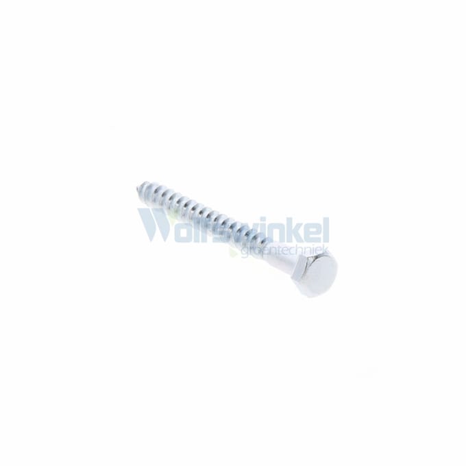 Hoenderdaal houtdraadbout gegalvaniseerd 6 x 60 mm din 571 - doos à 200 stuks