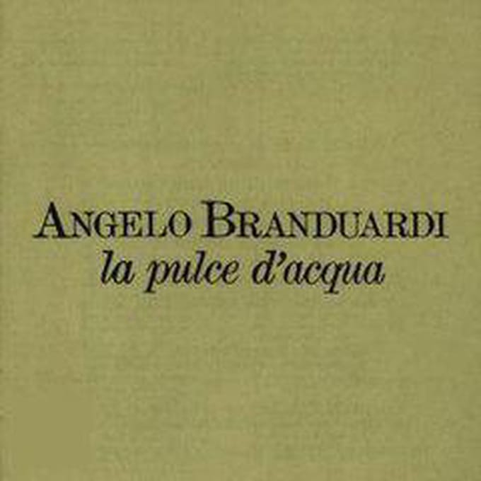 La Pulce D'Acqua