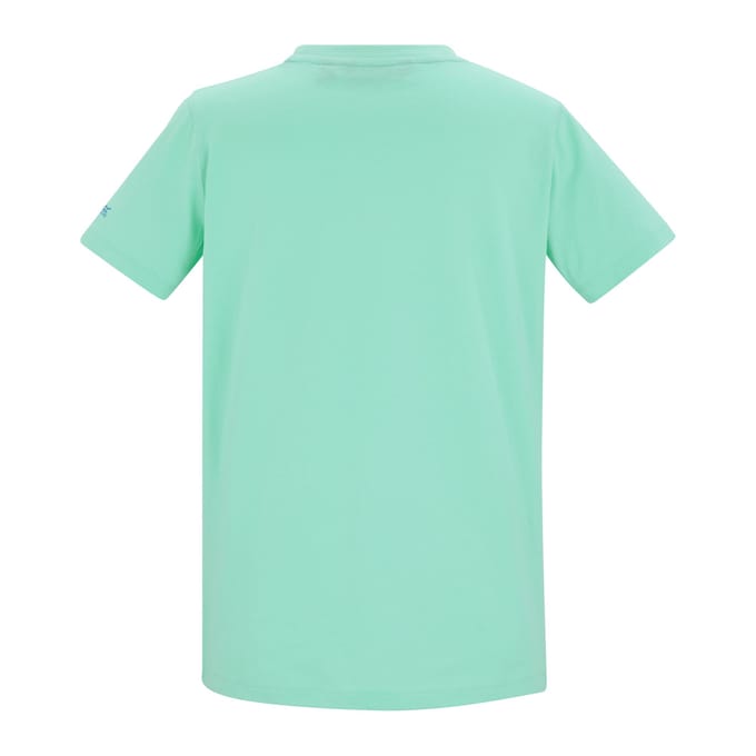 Regatta Dames Filandra VX Sunset Paddleboard T-shirt (IJs Groen)
