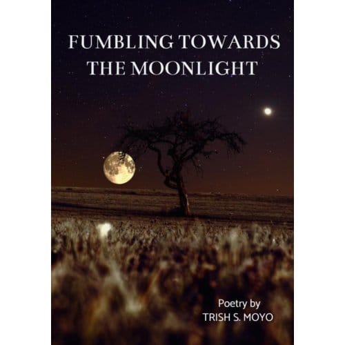 Fumbling Towards The Moonlight - Trish Moyo