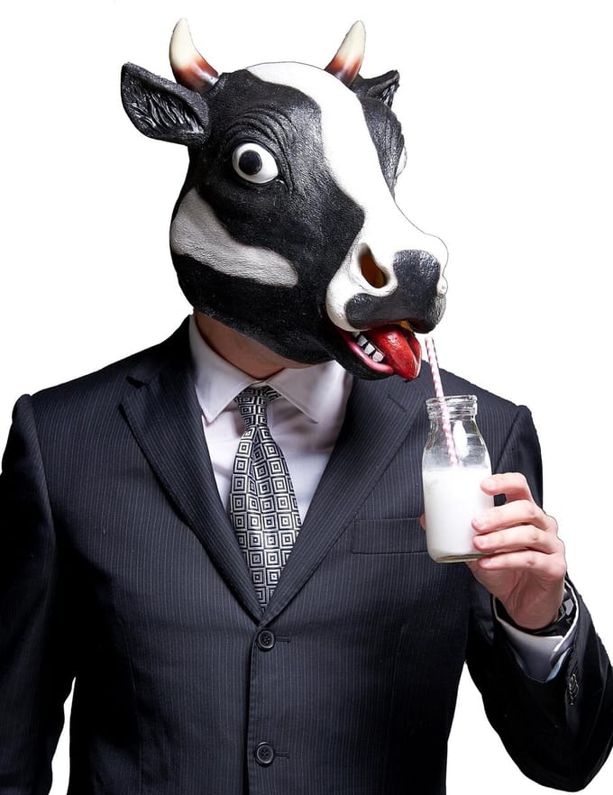 Vegaoo - Koeienmasker