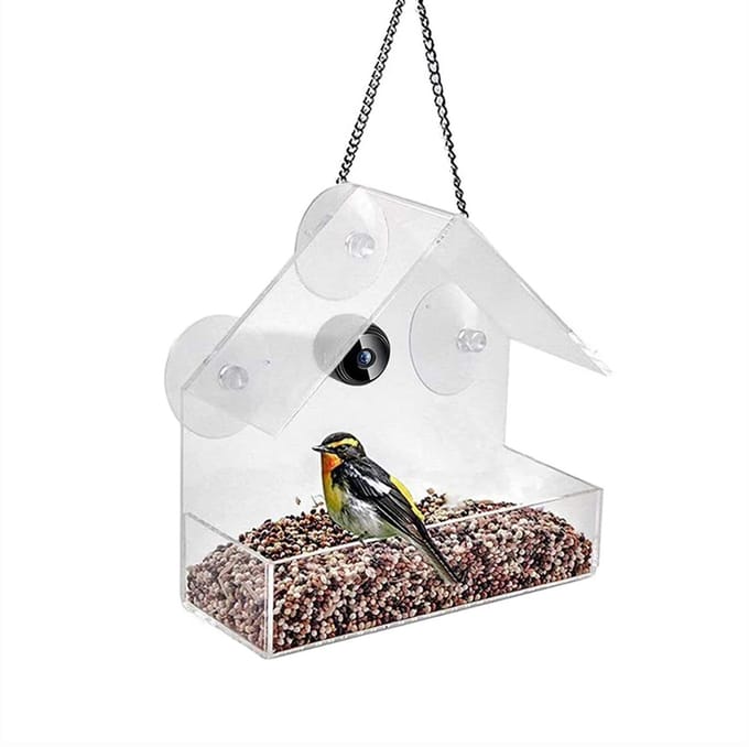 Vogelhuisje met Camera - Buitencamera - Vogelhuis - Wifi - Live