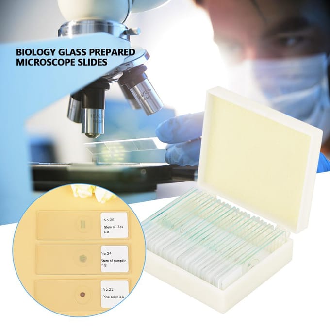 25 stuks Biologie Glas Geprepareerde Microscoopplaatjes Lab Specimens Met Doos beige