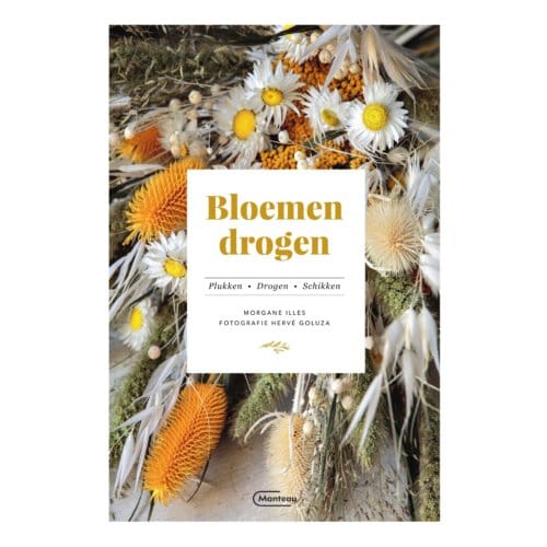 Bloemen Drogen - Morgane Illes