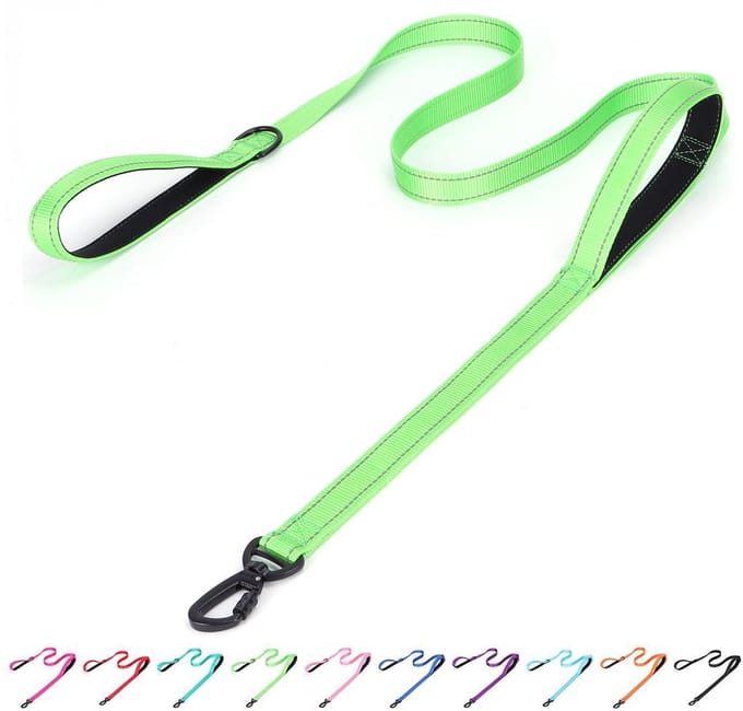Dailygoody - Reflecterende nylon hondenriem - Gewatteerde riem met