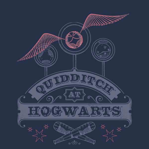 Harry Potter Quidditch At Hogwarts Hoodie - Navy - S