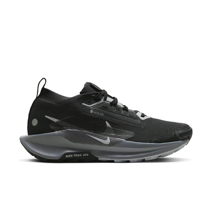 Damesschoenen Nike Pegasus 5 Gore-tex