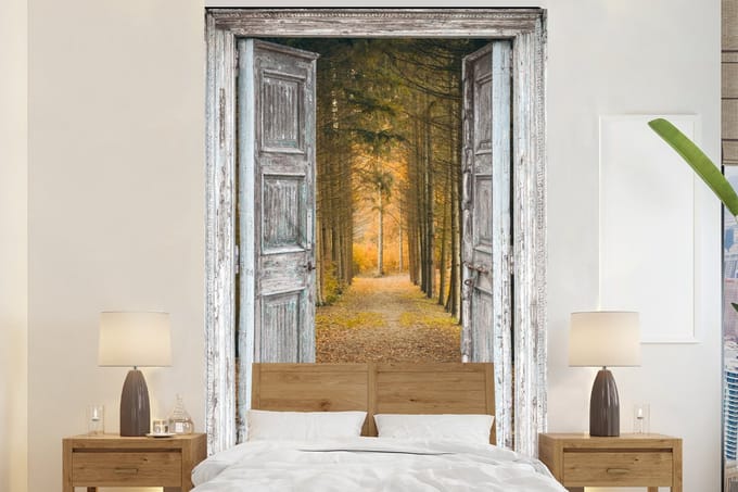 Behang - Fotobehang Bos - Herfst - Doorkijk - Breedte 145 cm x hoogte 220 cm