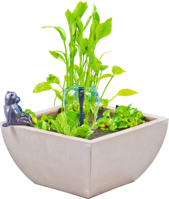 Watertuin set vierkant wit 75x75x30 cm met kikkerHeissner
