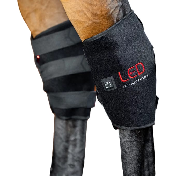 Guêtres voor paard kraan van luminotherapie Horseware (x2)