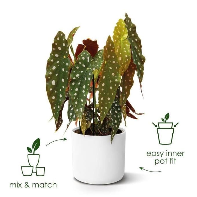 Elho B.for Soft Rond 35 - Bloempot voor Binnen - 100% Gerecycled Plastic - Ø 34.5 x H 32.3 cm - Wit