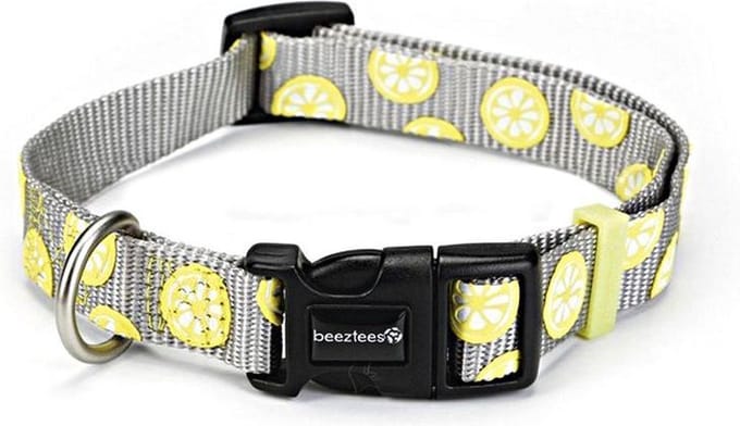 Nylon halsband Lemon 48-70cm