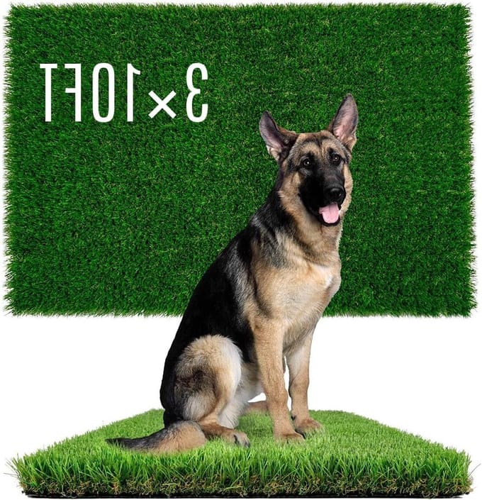 Nepgras Hond - Kunstgras Plasmat - Zindelijkheidstraining Hond - Sneldrogend Drainage - 3 x 10 ft - Groen