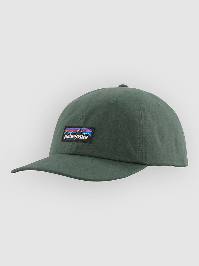 Patagonia P-6 Label Trad Cap groen