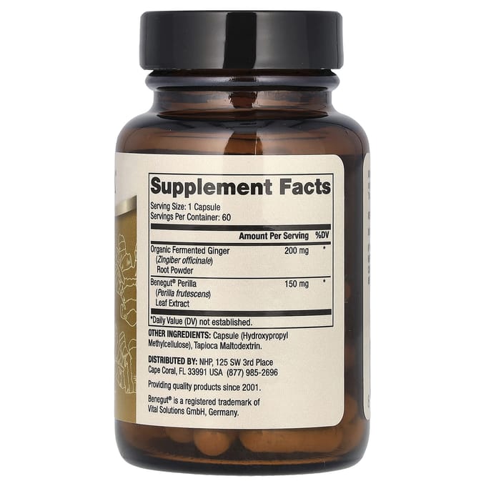 Dr. Mercola - Fermented Ginger with Benegut - 60 capsules