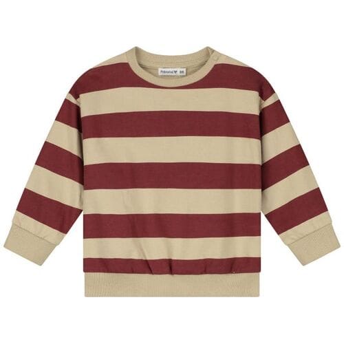 Prénatal baby sweater Dark Brown Red 68 heren